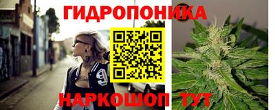 гашик Старая Купавна