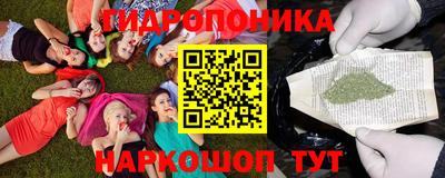 ешки Ставрополь