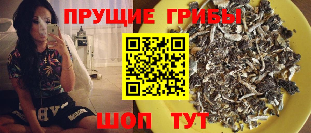 Галлюциногенные грибы прущие грибы  Псилоцибиновые грибы мицелий  Новотроицк  Вход с VPN 